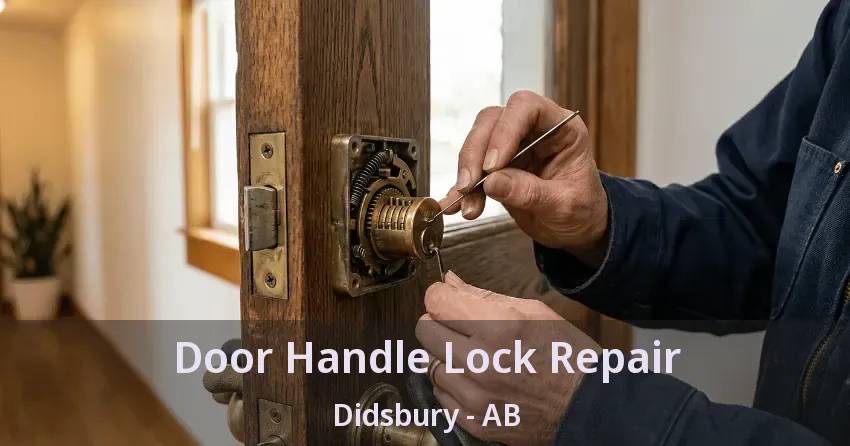 Door Handle Lock Repair Didsbury - AB
