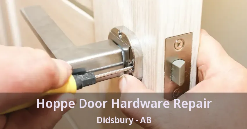 Hoppe Door Hardware Repair Didsbury - AB